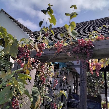 Gemuetlichkeit Am Vierkanthof - Apartment 1 Worterberg Eksteriør billede